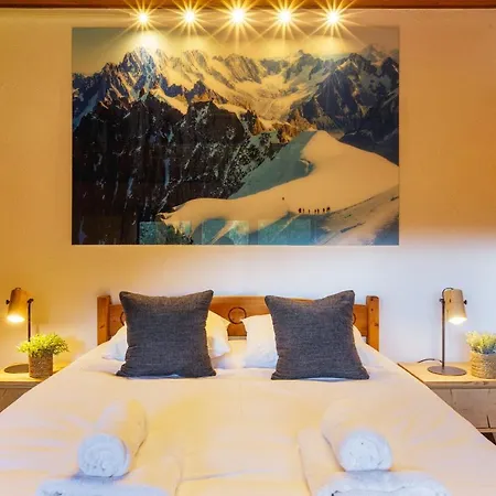 Les Nantillons 250mt From Ski - Happy * Chamonix