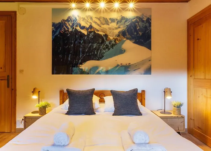 Les Nantillons 250mt From Ski - Happy * Chamonix